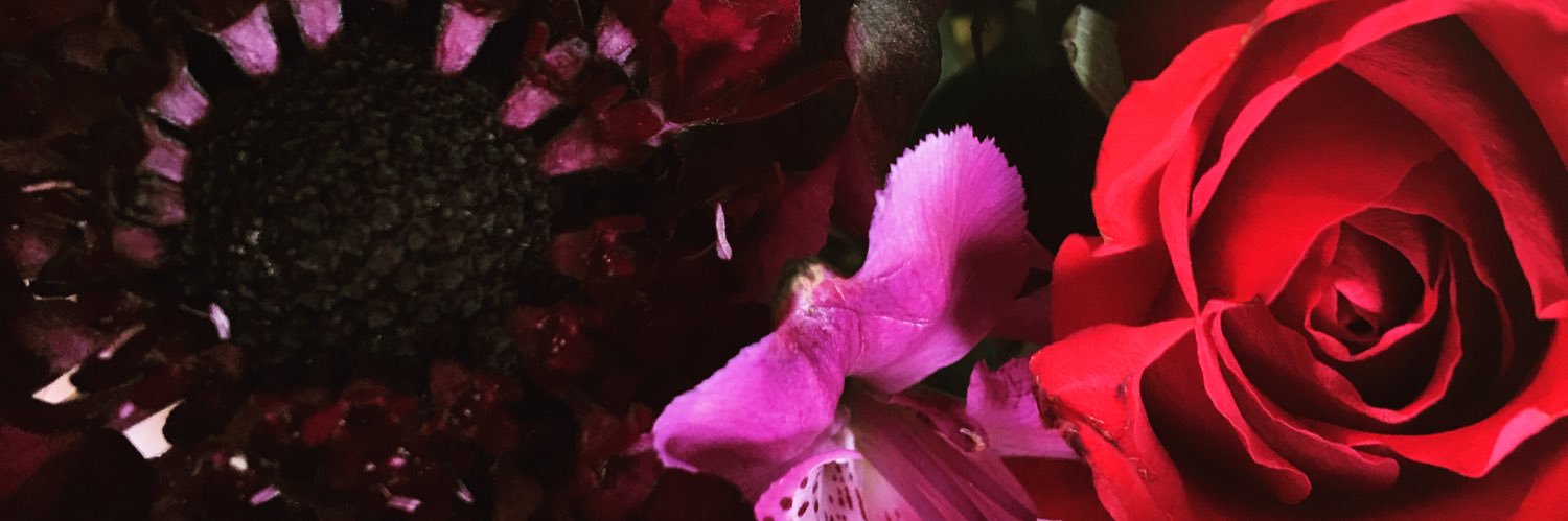 Neece2's profile banner image