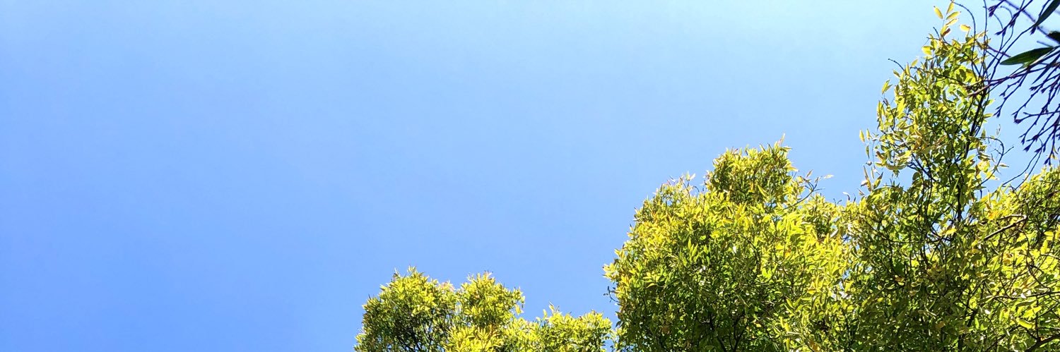 Carlos Moreira banner