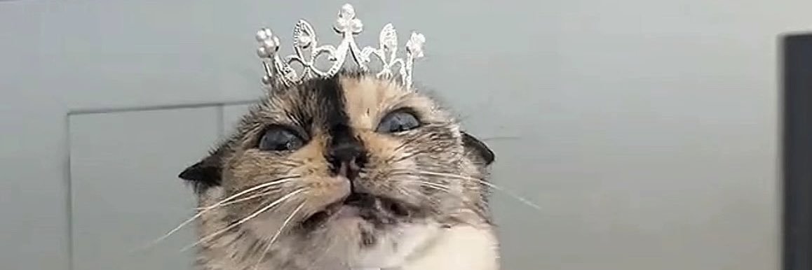 lacandace's profile banner image
