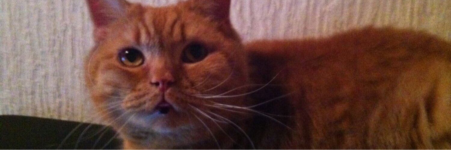 ¯\_(ツ)_/¯ banner