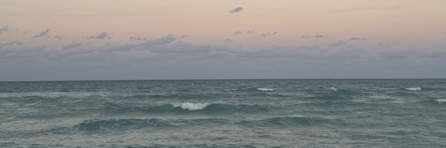 CinthyaCardoso_'s profile banner image