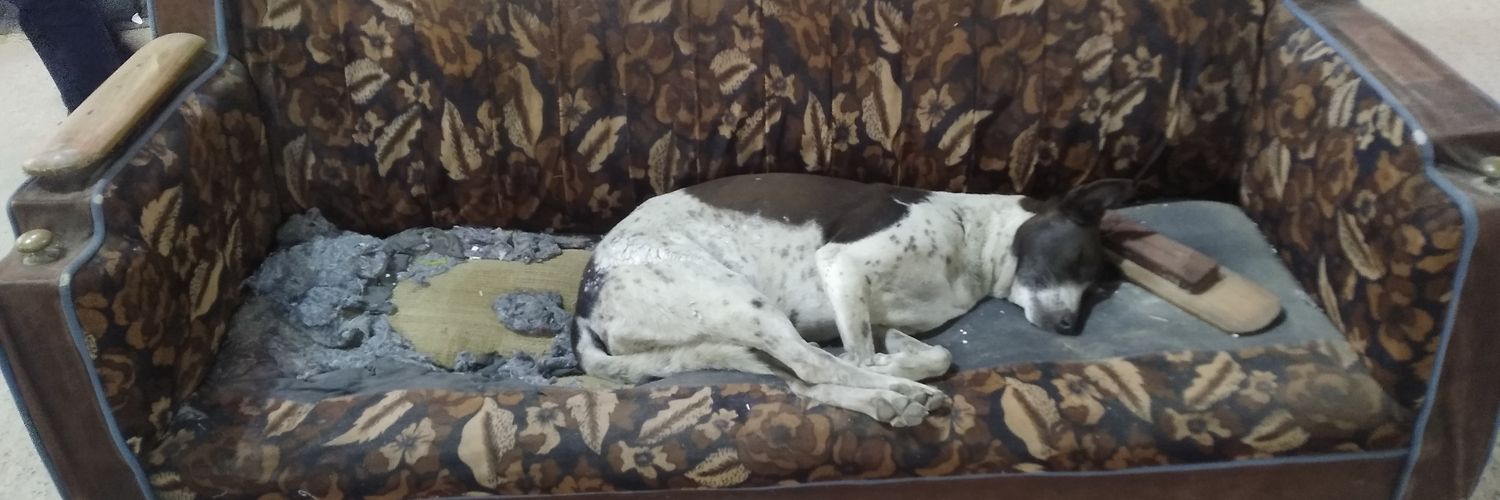 Abhijit Gupta banner