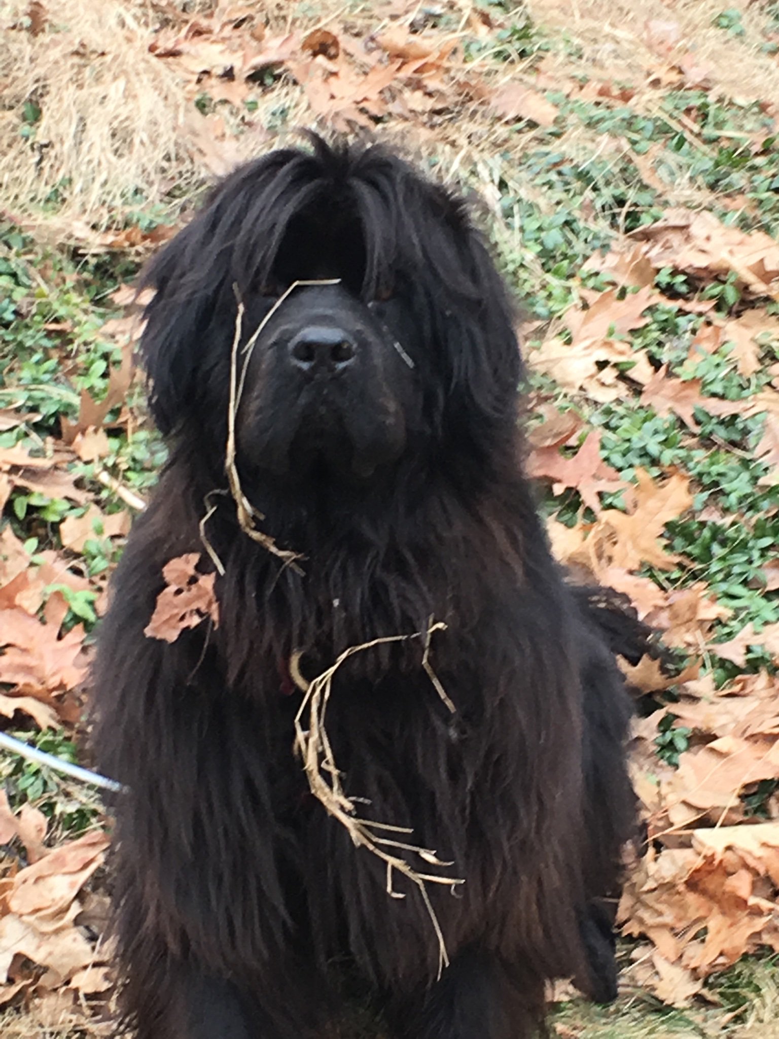 Faysdaughter2's profile banner image