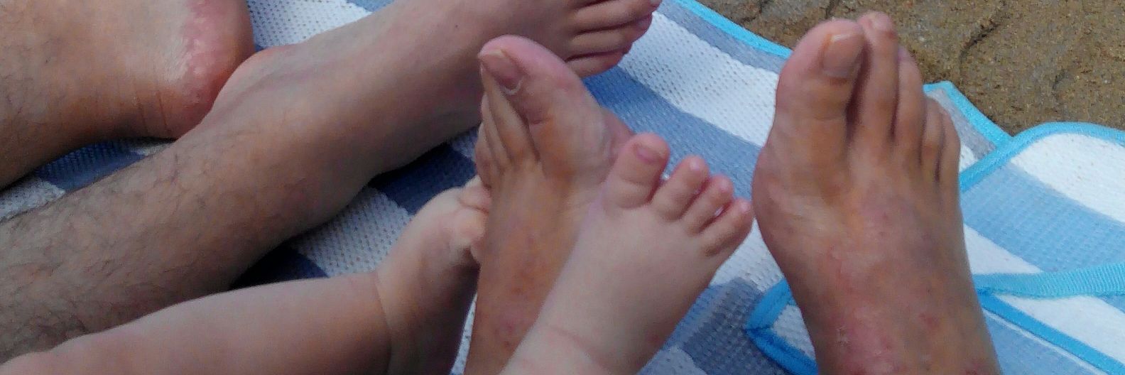 SmartButterfly banner