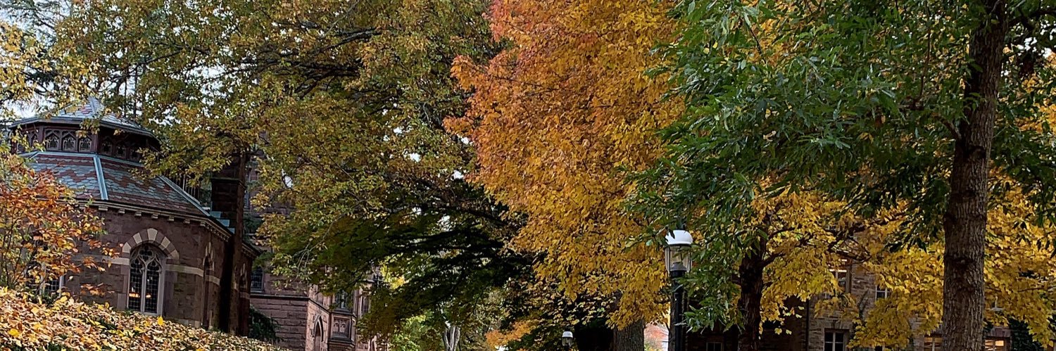 PrachisDee's profile banner image