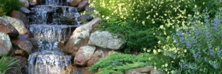 1701carmen's profile banner image