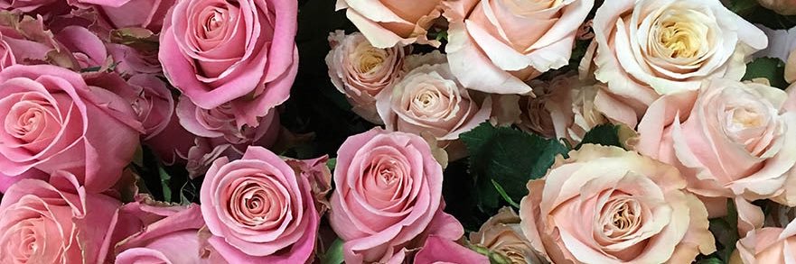 _reemsaidan's profile banner image