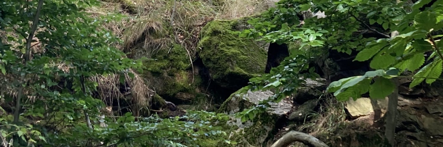 waldmaistecr's profile banner image