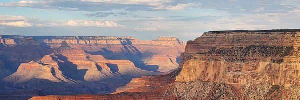 IceZebra77 Profile Banner