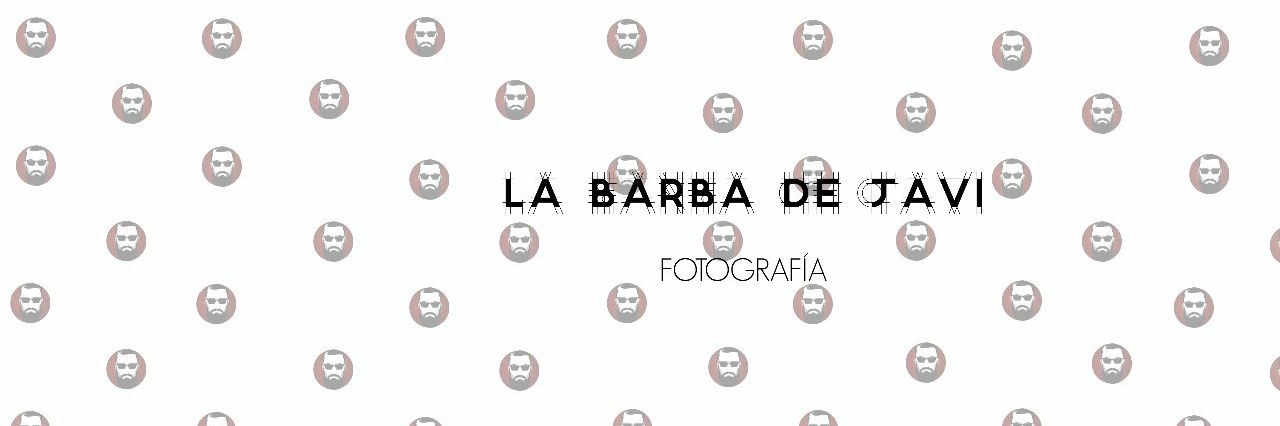 labarbadejavi's profile banner image