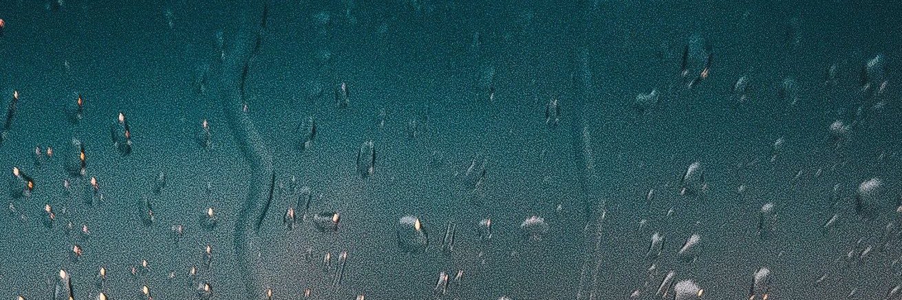 lialic1's profile banner image