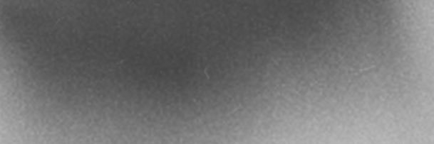 lilfritzy's profile banner image