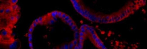 TCRNetwork Profile Banner