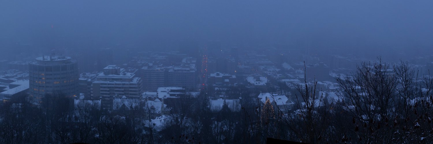 Simon Vallée banner