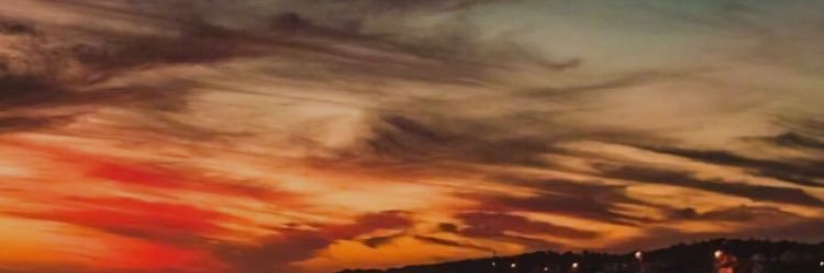 fsh_76's profile banner image