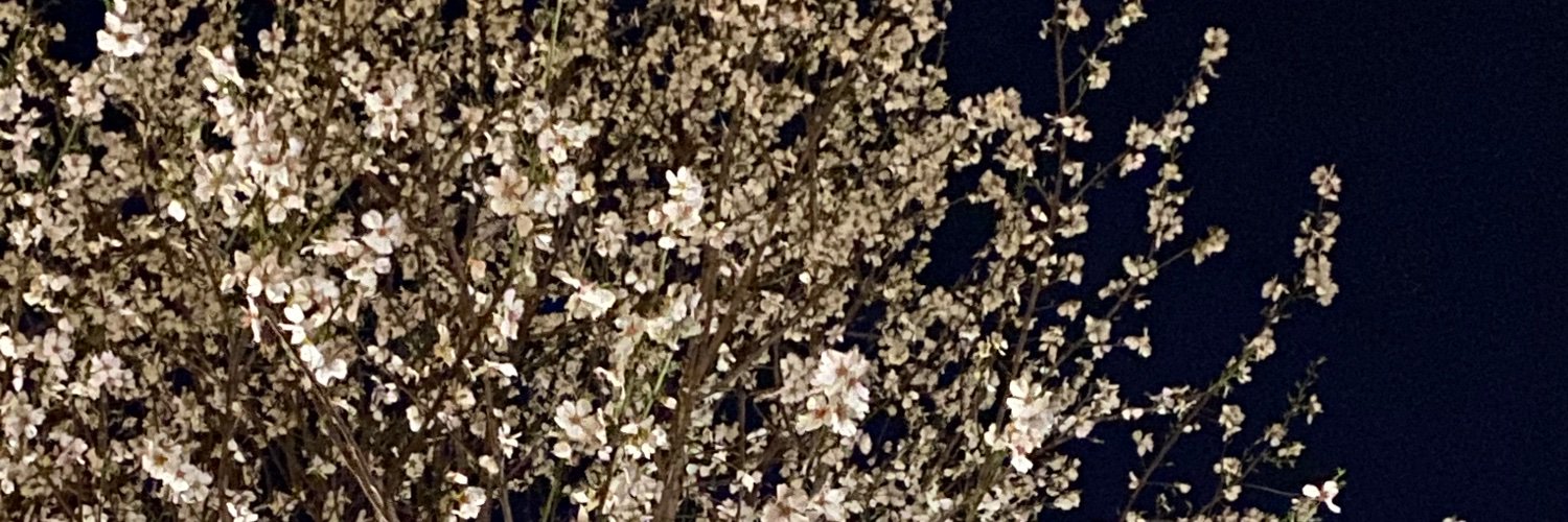 BeEseZet's profile banner image