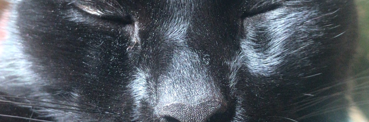 samzmoore's profile banner image