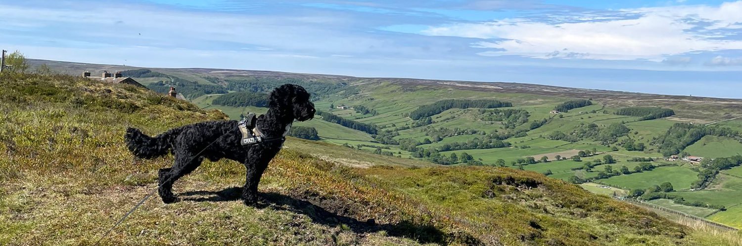 conorscards's profile banner image
