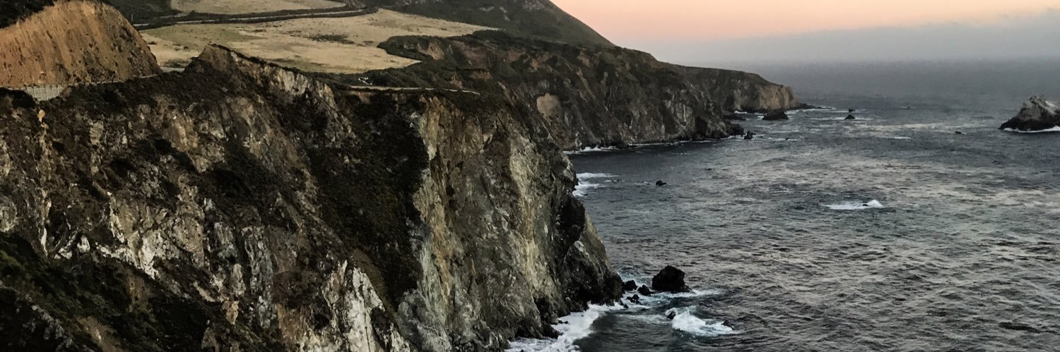 D0lphinmoore's profile banner image
