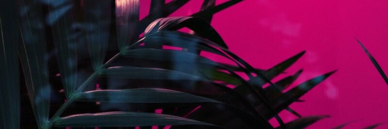 _ilianaaa_'s profile banner image