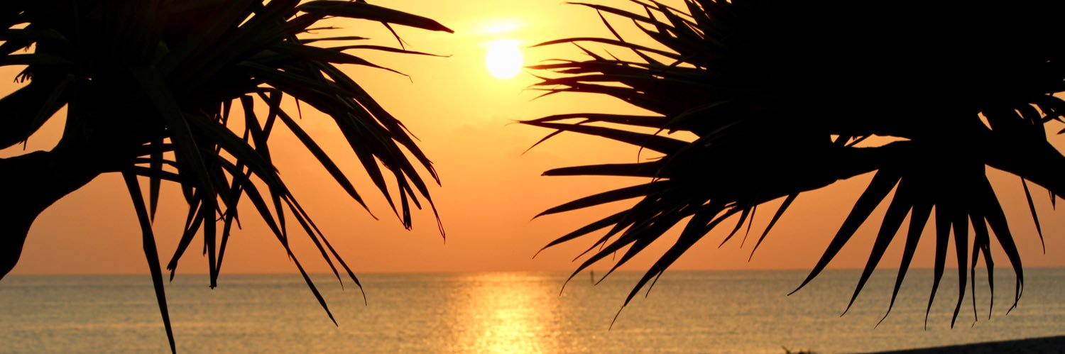 _6622319794532's profile banner image