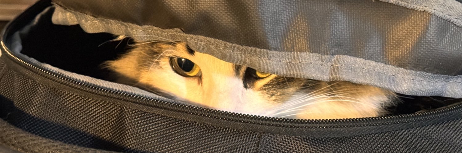 alfiegato24's profile banner image