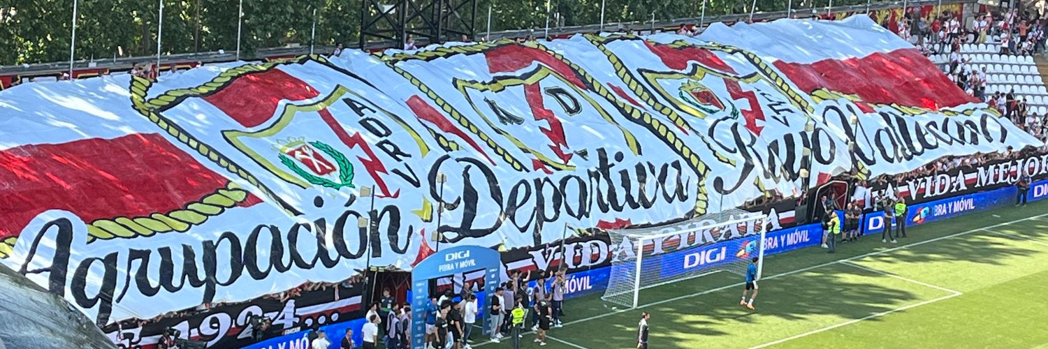tinovelastico's profile banner image