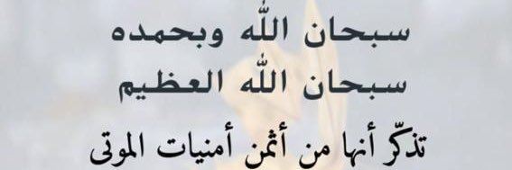 محمد الوليدي banner