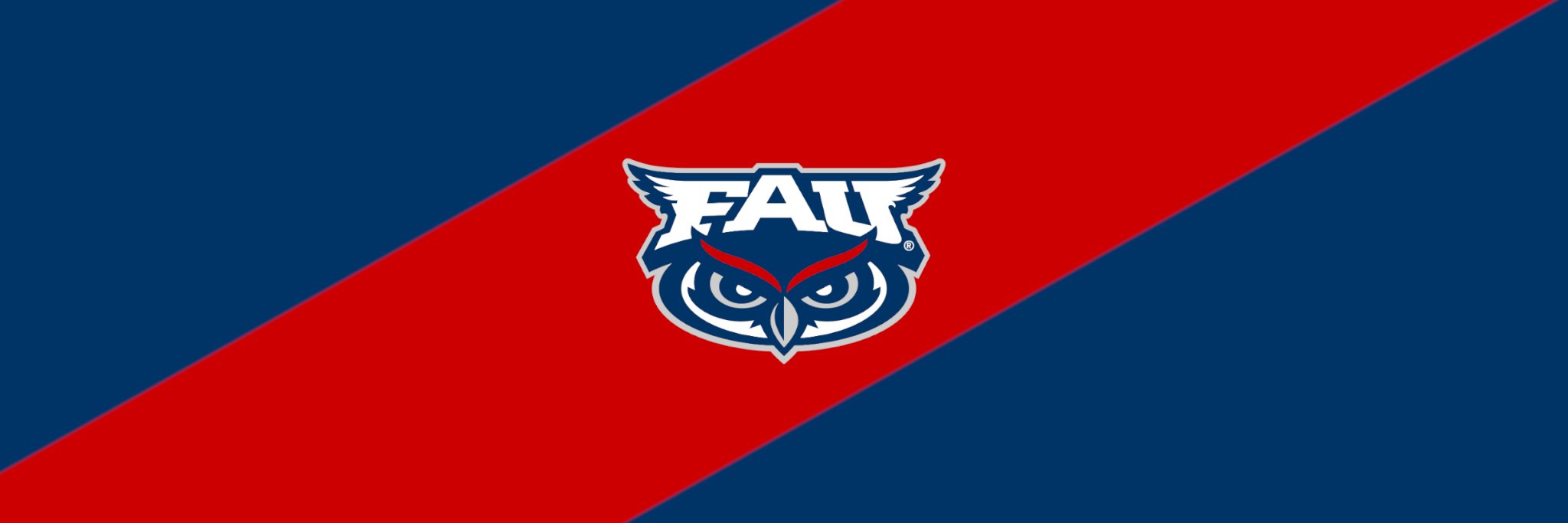 fauowltv's profile banner image