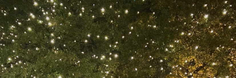 aime_1126's profile banner image