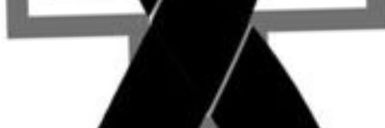 cingarasol's profile banner image