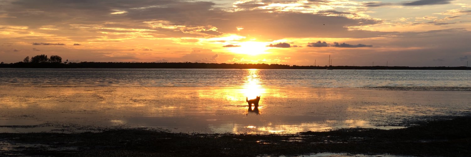 HollyGordonPhot's profile banner image