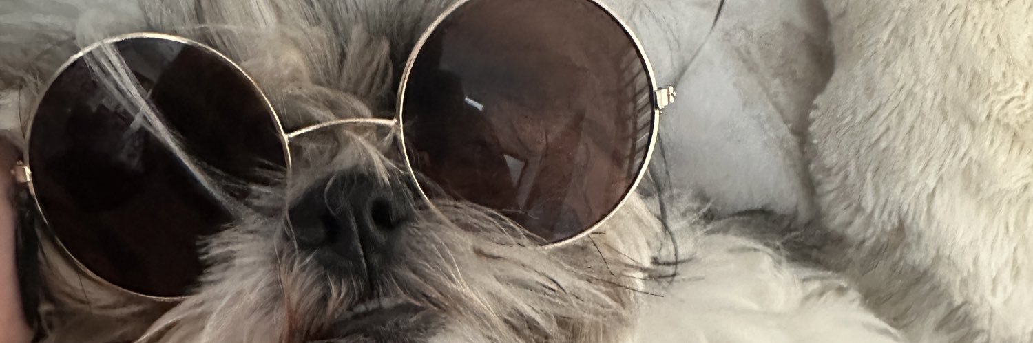 EmiliAdame's profile banner image