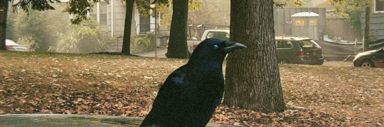 braidsalexandra's profile banner image