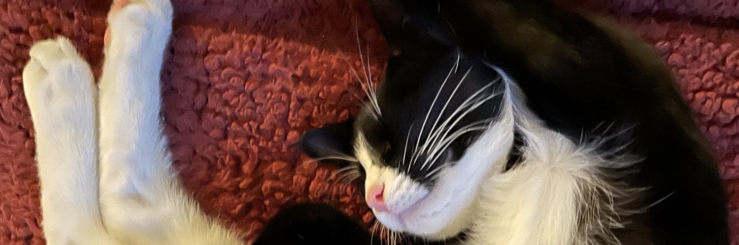 mommajacks2u's profile banner image