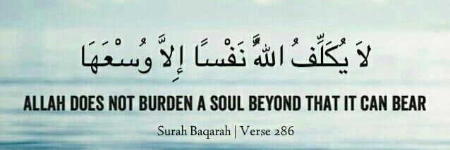 _amiranrdn's profile banner image