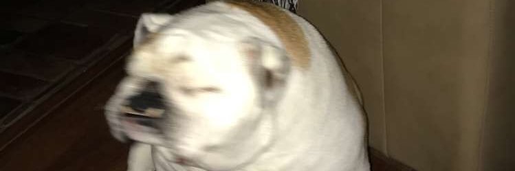 KyleEleser's profile banner image