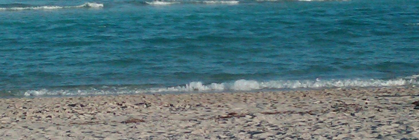 Beatriz Perez banner