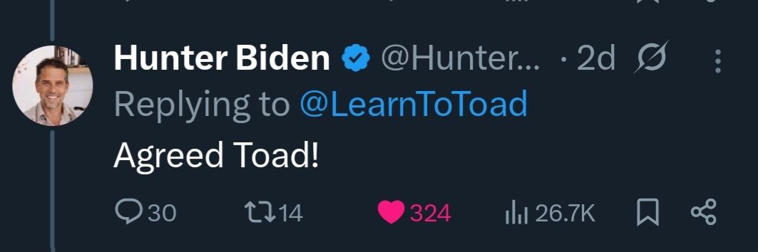 Toad banner