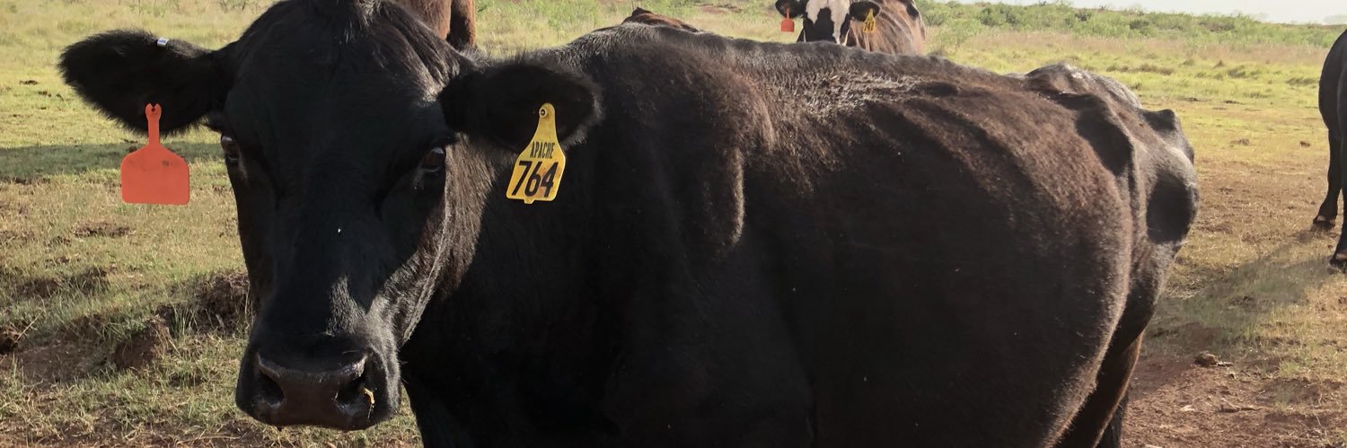Jimmy6870's profile banner image