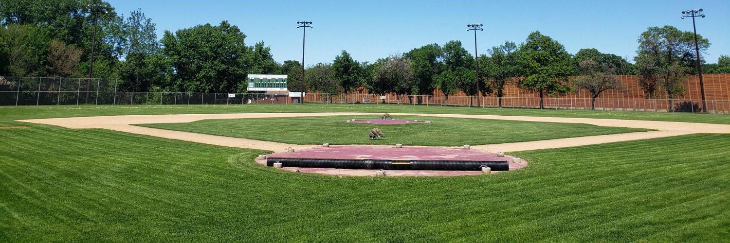 Holy Angels Baseball banner