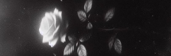 Peterk356's profile banner image
