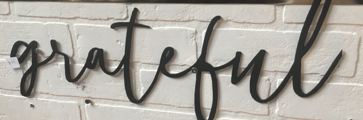 Sara Stepa, Author & Coach banner