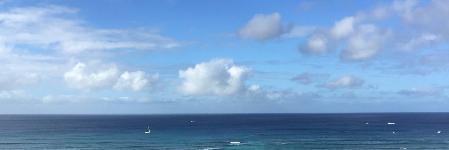 ソヤマン/曽山哲人 banner