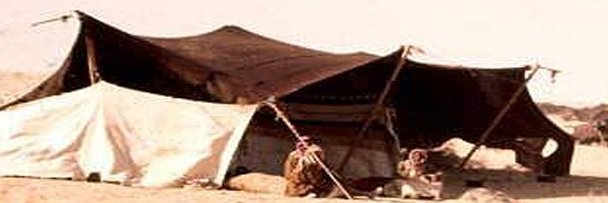 درالم banner