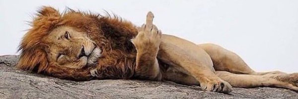 Itsthewook Profile Banner