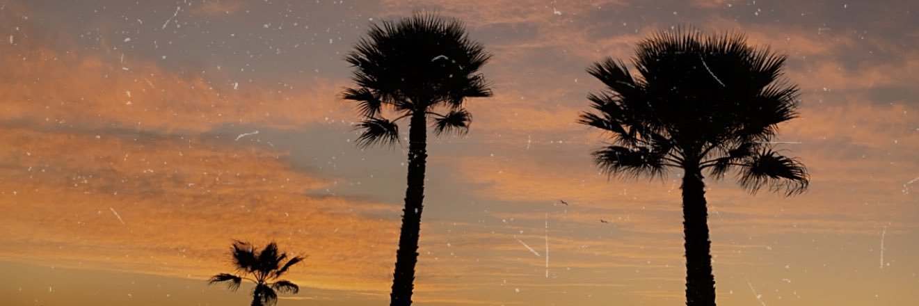 raulolein's profile banner image