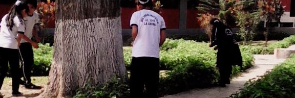 Nancy Herrera banner