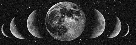 michellenlozano's profile banner image
