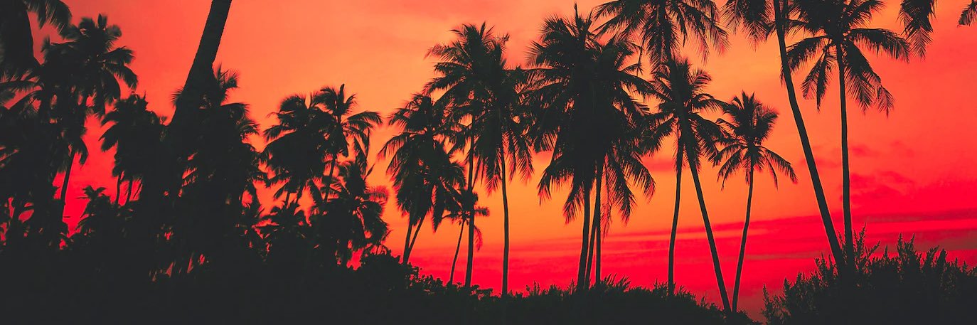 DannyRod6's profile banner image